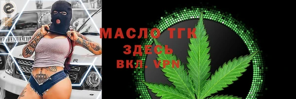 мдпв Богородицк