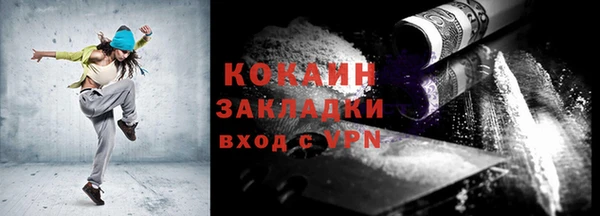 шишки Богородск