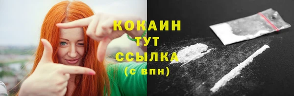 шишки Богородск