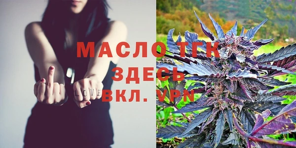 шишки Богородск