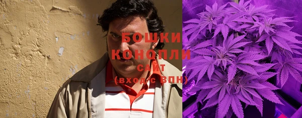 шишки Богородск