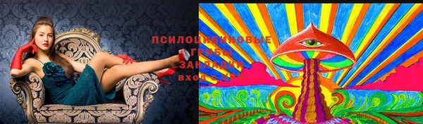 мдпв Богородицк
