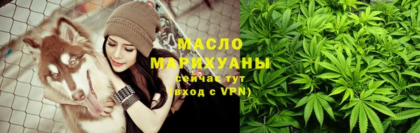 мдпв Богородицк