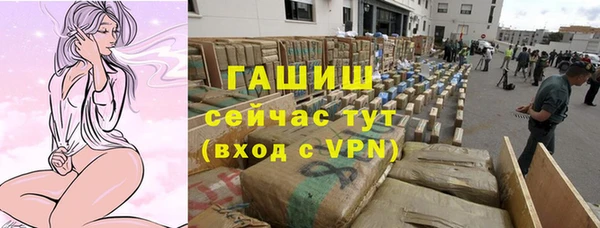 шишки Богородск