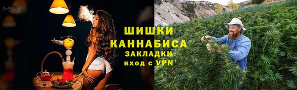 мдпв Богородицк