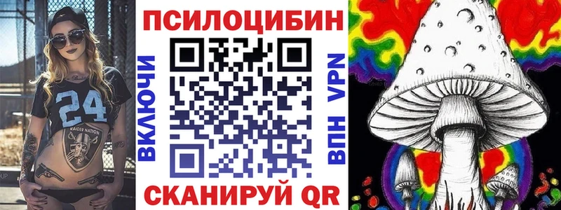 что такое Ачхой-Мартан Псилоцибиновые грибы мухоморы